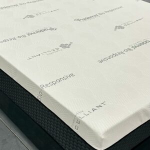 PADERNA 10" NRG MATTRESS